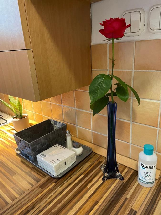 Magnolia Apartman Győr Buitenkant foto